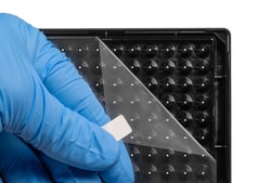 Greiner Bio-One 96-Well SCREENSTAR Spheroid Plate 1 Ea. | Buy Online | Greiner Bio-One | Fisher Scientific